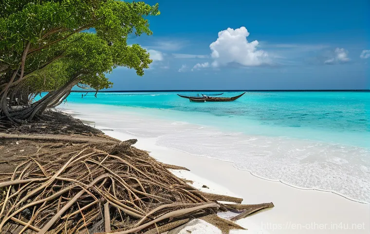 몰디브 기후 변화와 해수면 상승 - Erosion's Edge and Community Resolve in the Maldives**

*   **Prompt:** A dynamic, wide-angle shot o...