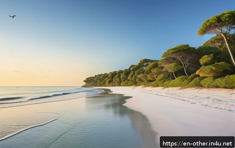 마다가스카르 에멜랄다 해안 숨은 명소 - A serene, secluded beach along the Emerald Coast at sunrise, featuring endless stretches of soft whi...